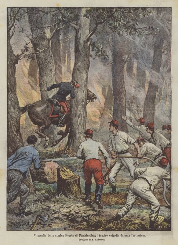 Brannen i den historiske skogen Fontainebleau, en tragisk episode under utryddelsen av Achille Beltrame