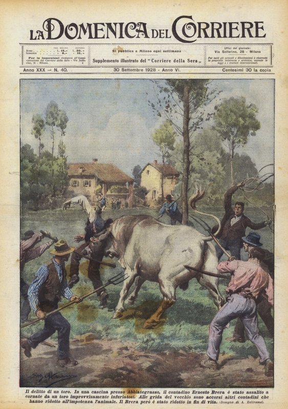 Drapet på en okse av Achille Beltrame