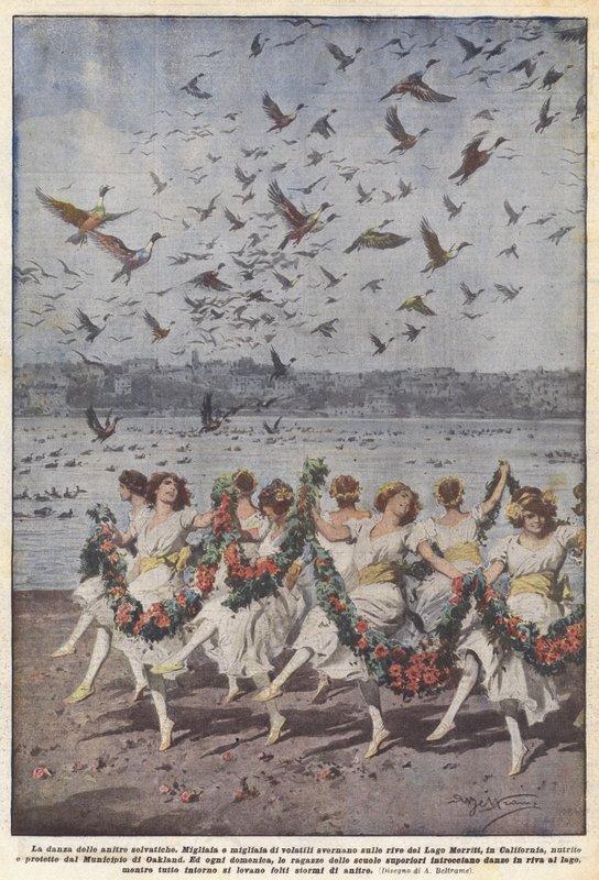 Villendens dans av Achille Beltrame