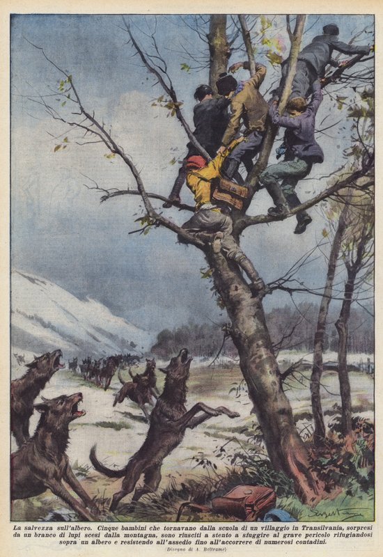 Frelse på treet av Achille Beltrame
