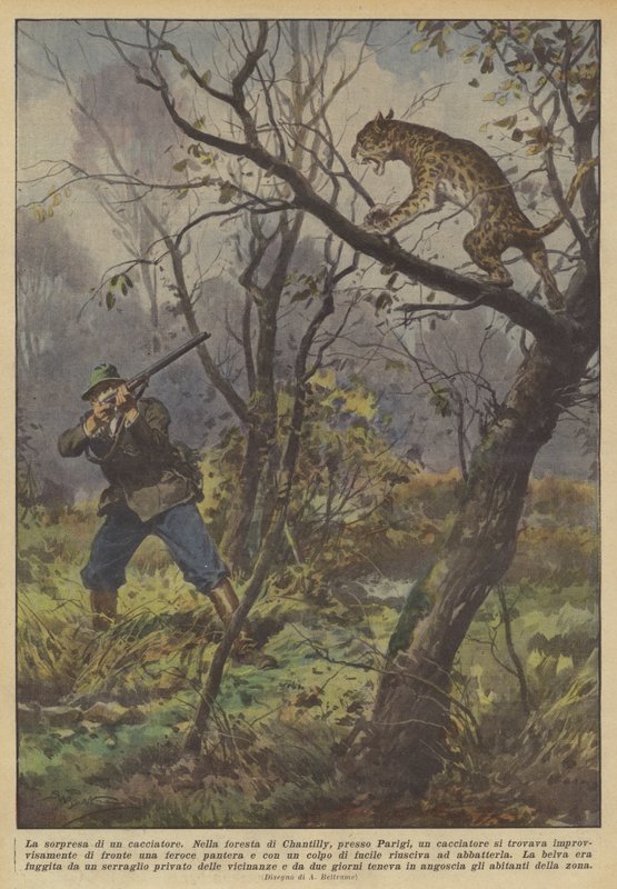 En jegers overraskelse av Achille Beltrame