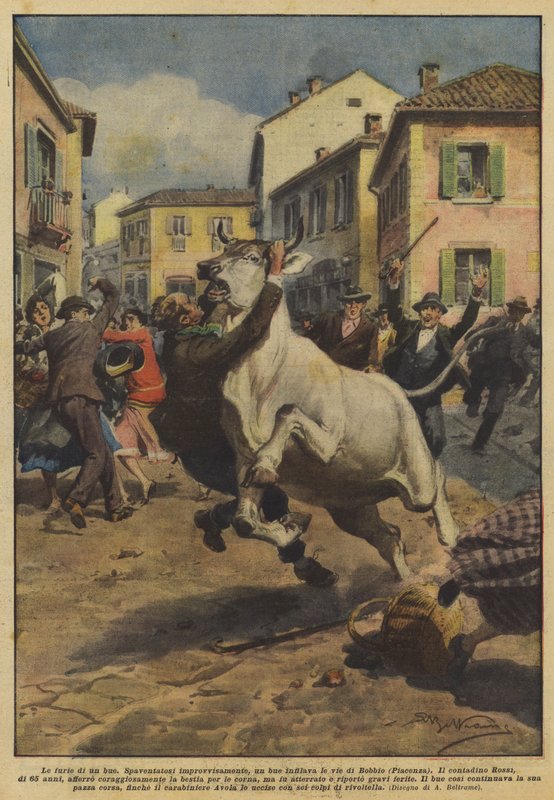Raseriet til en okse av Achille Beltrame