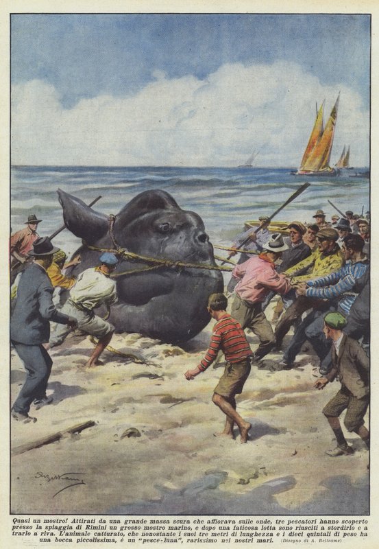 Nesten et monster! av Achille Beltrame