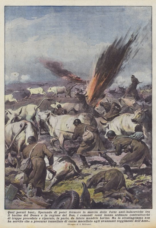 De stakkars oksene av Achille Beltrame