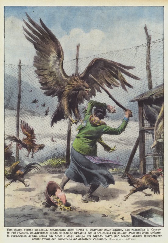 En kvinne mot en ørn av Achille Beltrame