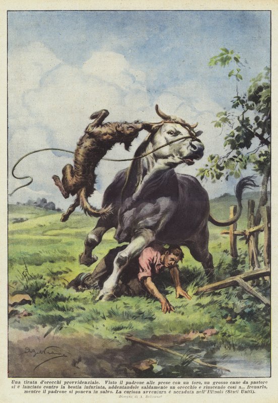 En forsynt tirade dorecchi av Achille Beltrame