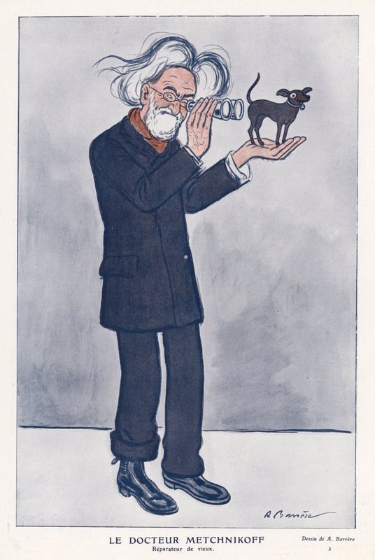 Elie Metchnikoff , russisk zoolog (farge litho) av Adrien Barrere