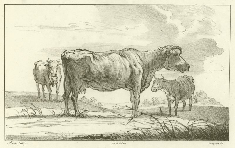 Tre kyr av Aelbert Cuyp