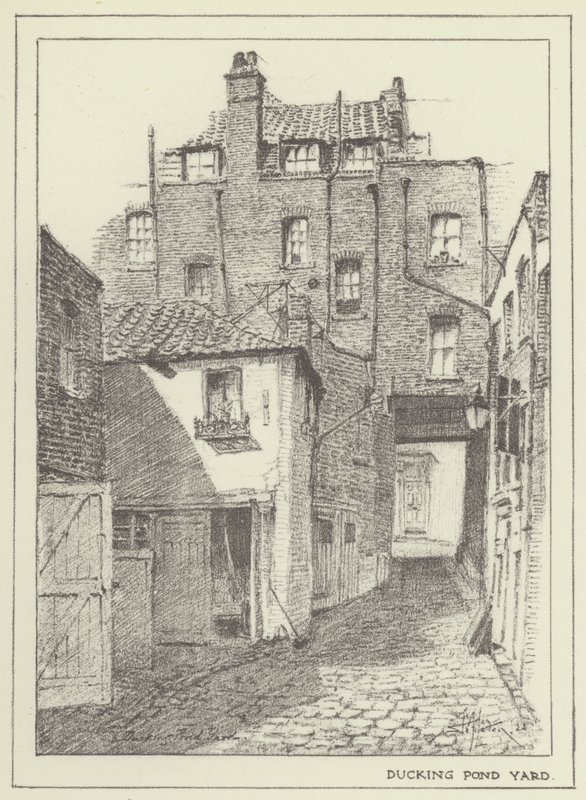 Ducking Pond Yard av Alan Stapleton