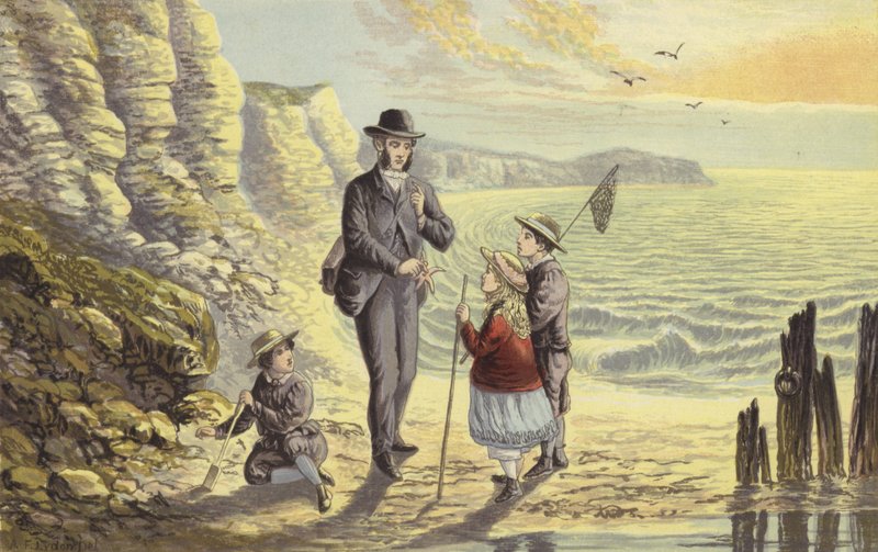 På havkysten av Alexander Francis Lydon