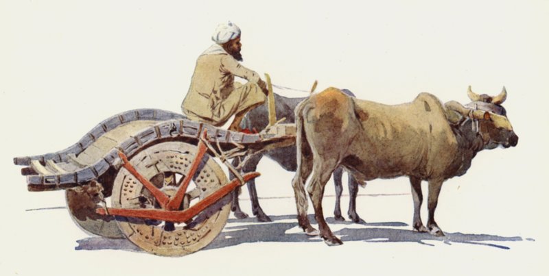 En oksevogn, Jodhpur av Alexander Henry Hallam Murray
