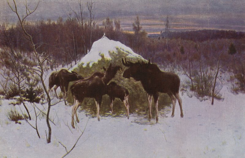 Herd of Elk, 1889 av Alexei Steipanovitch Stepanov