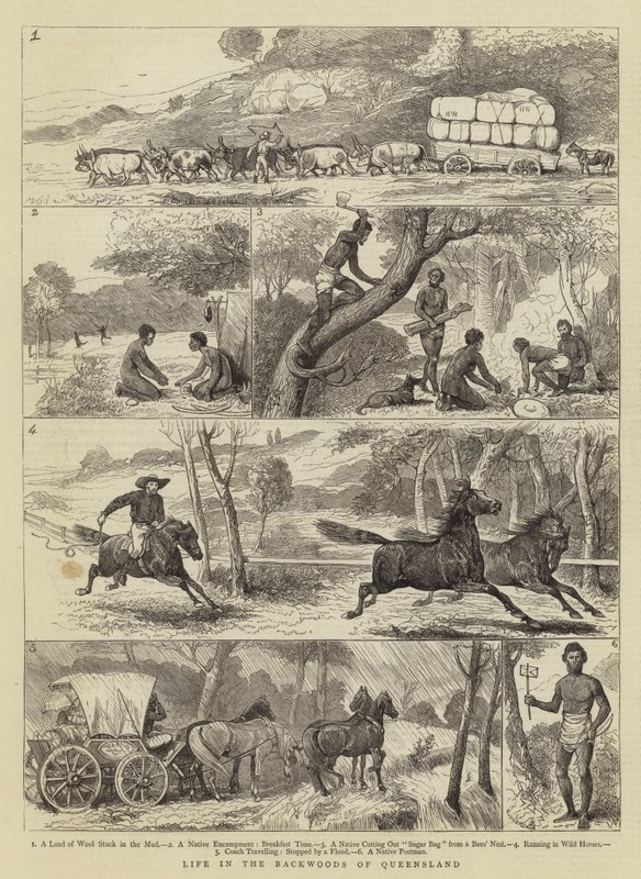 Livet i Backwoods of Queensland av Alfred Chantrey Corbould