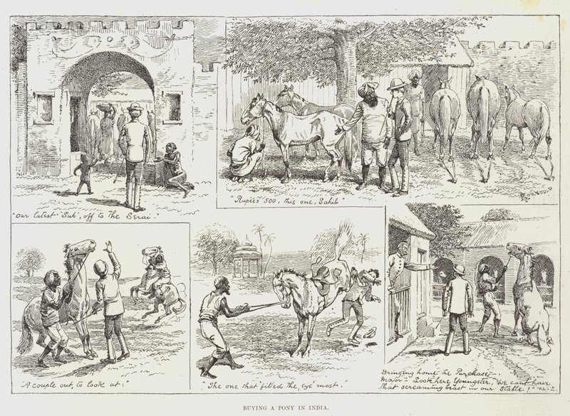 Kjøpe en ponni i India av Alfred Courbould