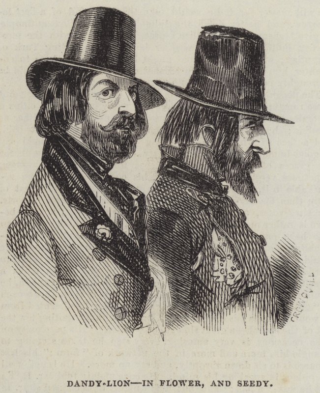 Dandy-Lion, i Flower, and Seedy av Alfred Crowquill