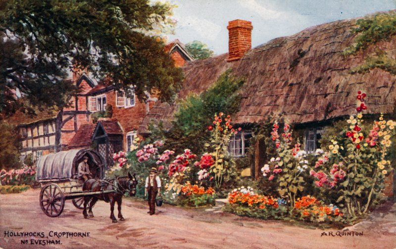 Stokroser, Cropthorne, Evesham av Alfred Robert Quinton