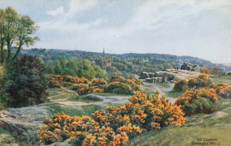 The Common, Tunbridge Wells av Alfred Robert Quinton