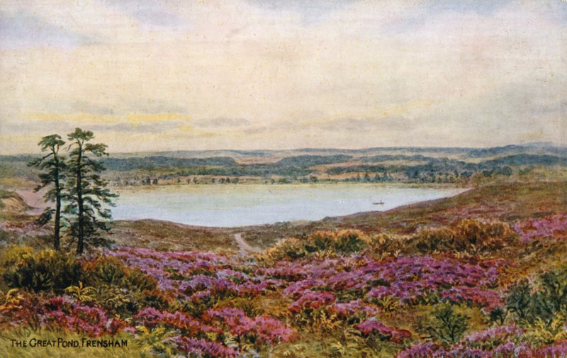 Den store dammen, Frensham av Alfred Robert Quinton