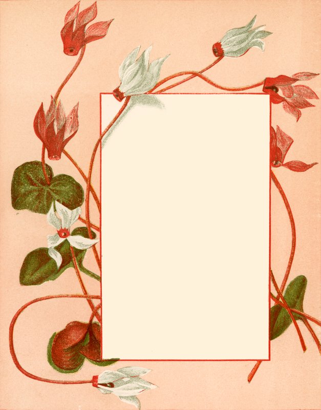 januar av Alicia Amy Leith