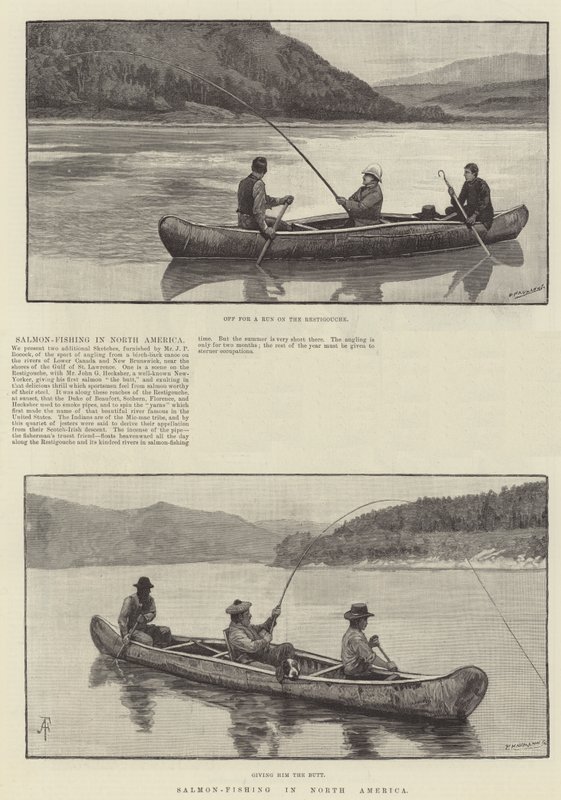 Laksefiske i Nord-Amerika av Amedee Forestier
