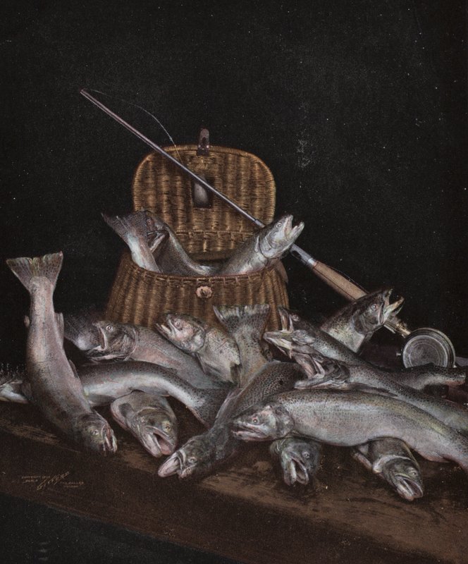 Oregon: Fiske (bilde) av American Photographer (after)
