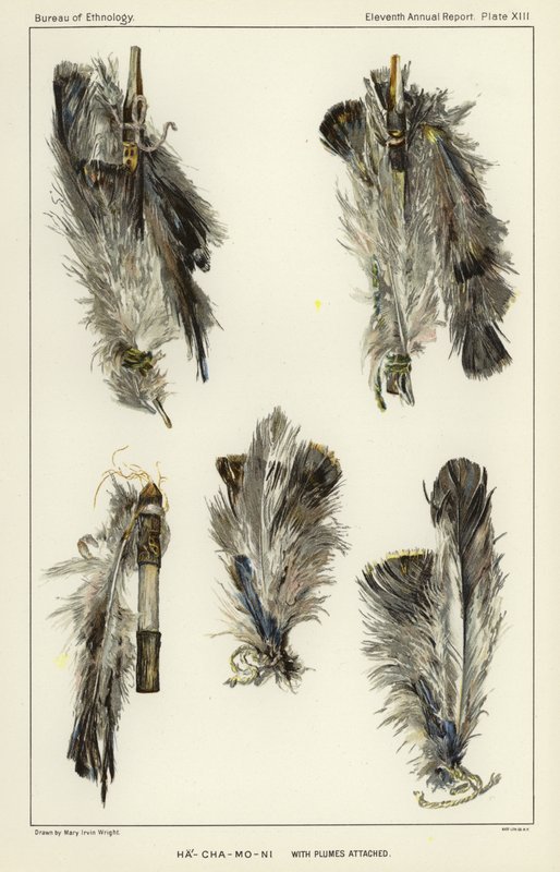 Ha-Cha-Mo-Ni with plumes attached av American School