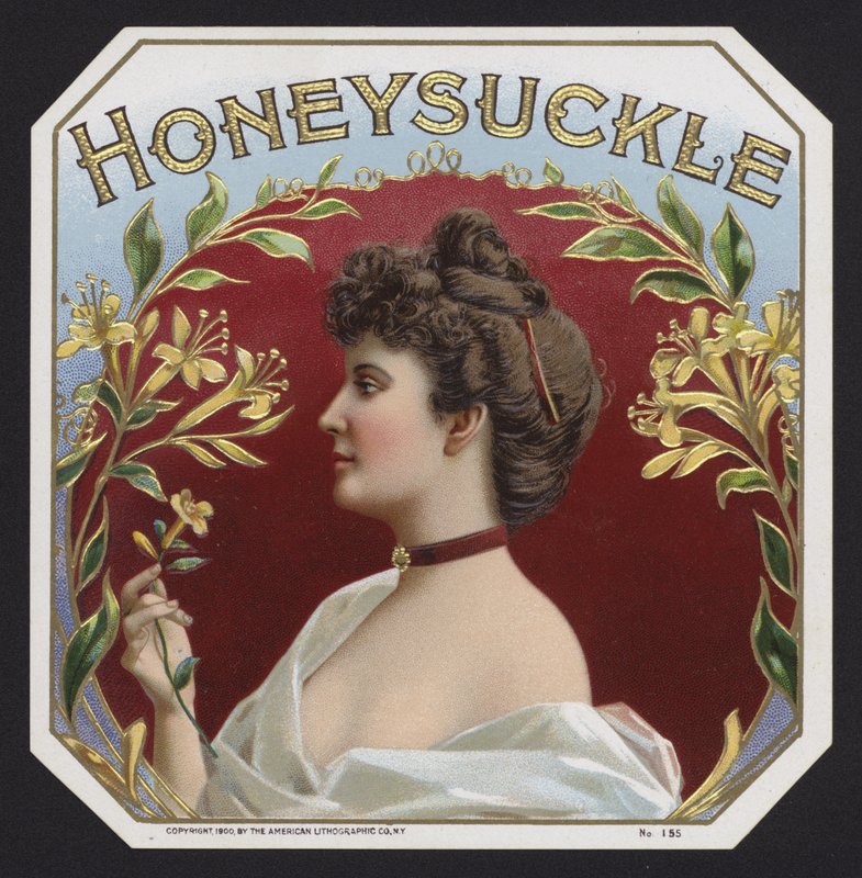 Honeysuckle (chromolitho) av American School