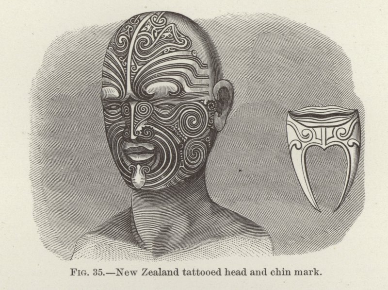 New Zealand tatovert hode og hakemerke av American School