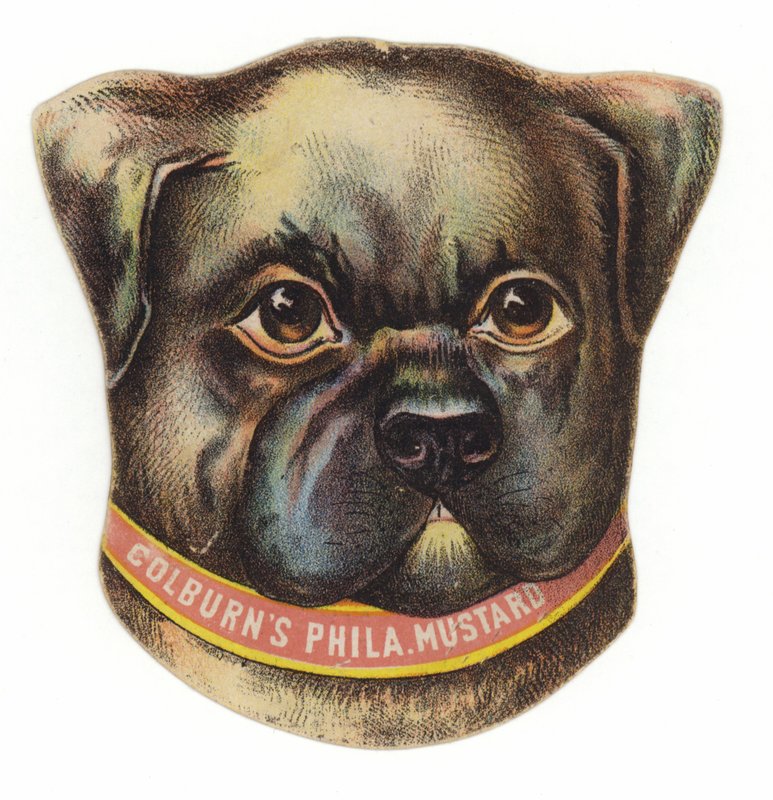 Mops hundehode av American School