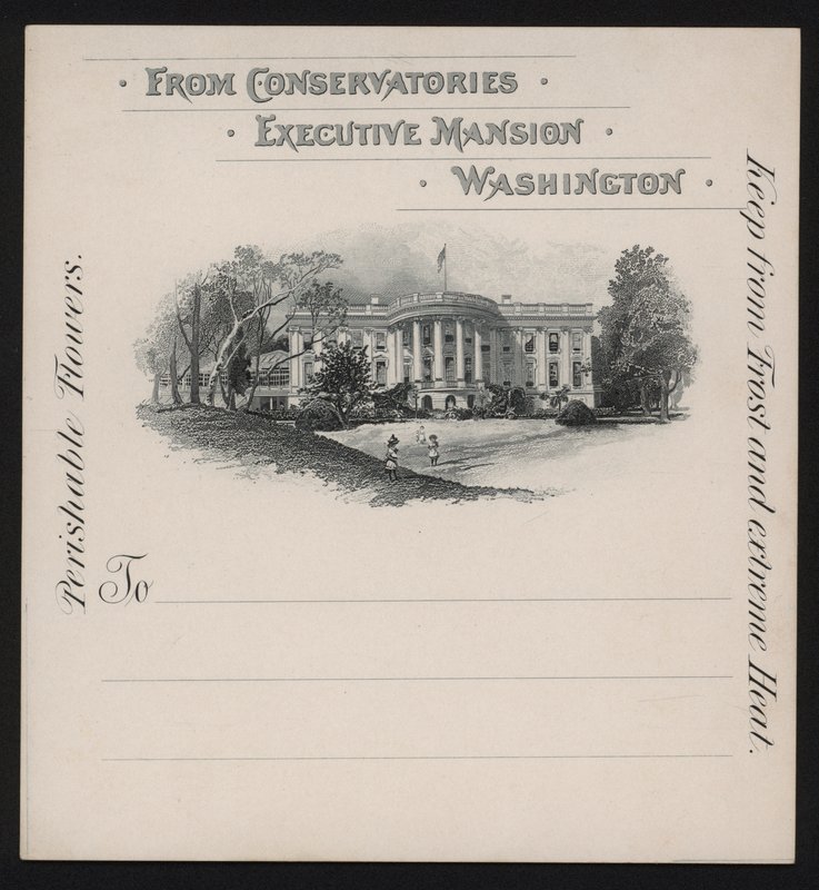Det hvite hus, Washington DC, USA (litho) av American School