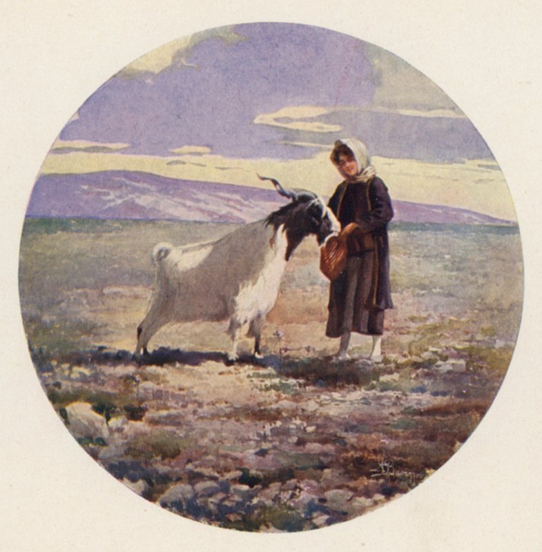 Geitegjerde, Attika, Hellas (farge litho) av Angelos Giallinos