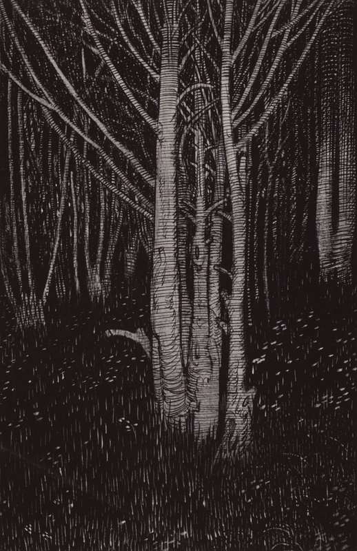 Midnatt var cum (litho) av Arthur George Watts