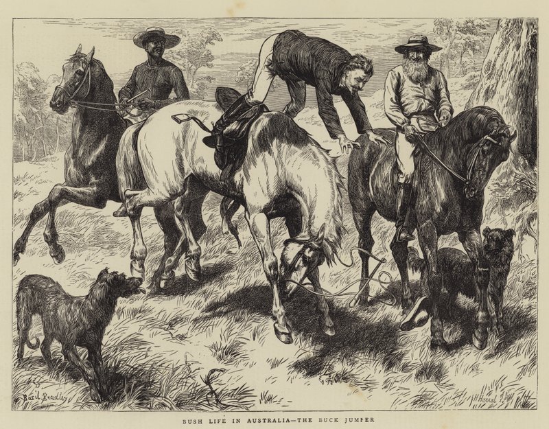 Bush Life i Australia, Buck Jumper av Basil Bradley