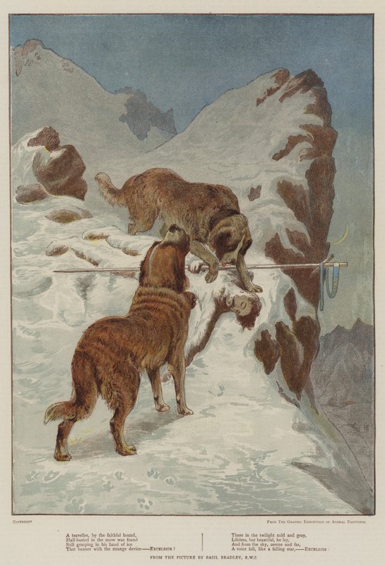 En reisende, av den trofaste hunden (chromolitho) av Basil Bradley