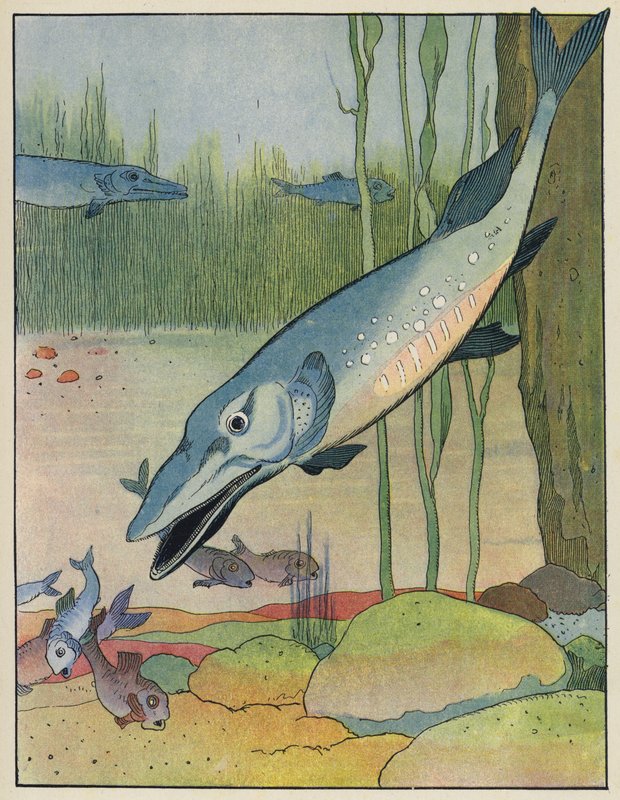 Fisk av Benjamin Rabier