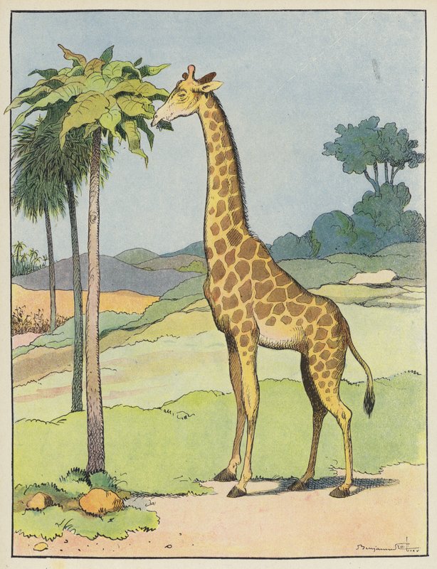 Sjiraff av Benjamin Rabier