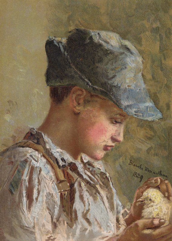 Sterk og øm av Blanche F. MacArthur