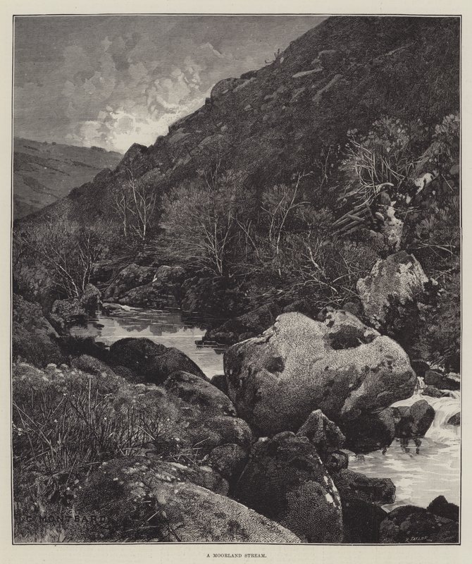 En Moorland Stream av Charles Auguste Loye
