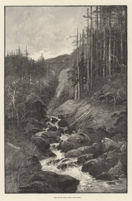 The River Torc, nær Killarney av Charles Auguste Loye