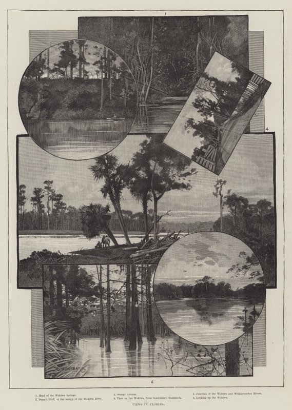 Utsikt i Florida av Charles Auguste Loye
