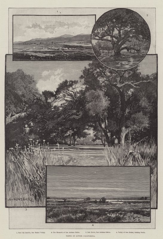 Utsikt i Nedre California av Charles Auguste Loye