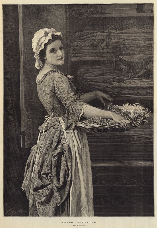 Frisk lavendel av Charles Edward Perugini