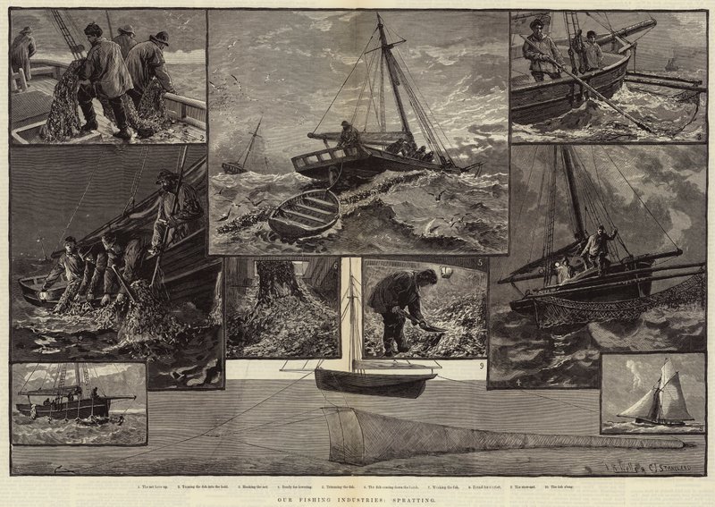 Våre fiskeindustrier, springing av Charles J. Staniland