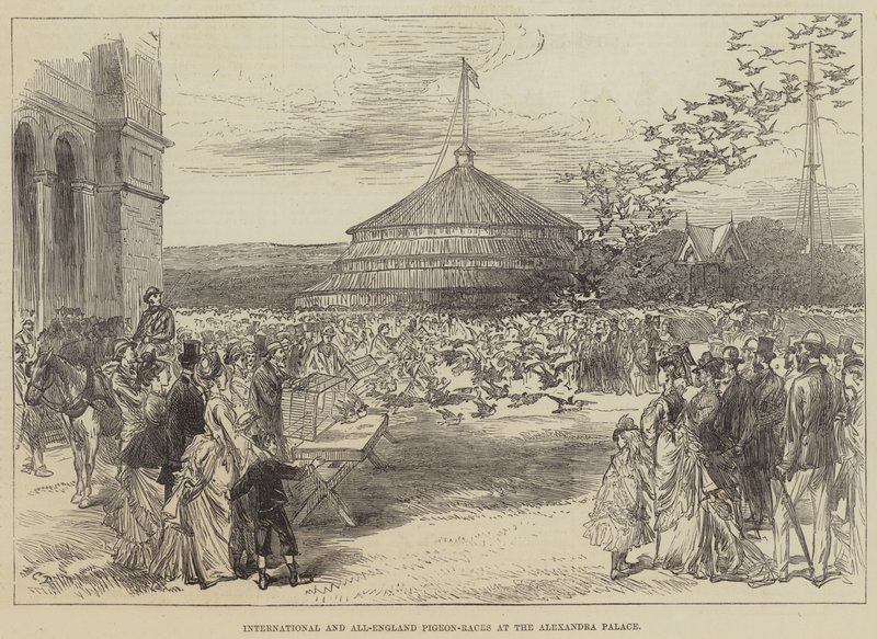 Internasjonale og engelske dueløp på Alexandra Palace av Sir John Charles Robinson