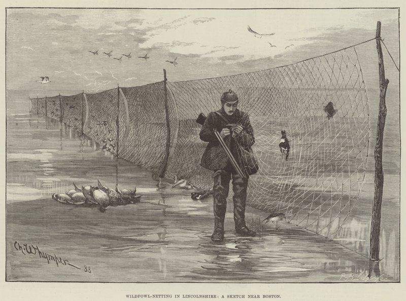 Wildfowl-Netting i Lincolnshire, en skisse nær Boston av Charles Whymper