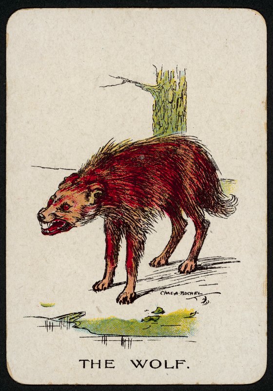 The Wolf (farge litho) av Charles A. Buchel