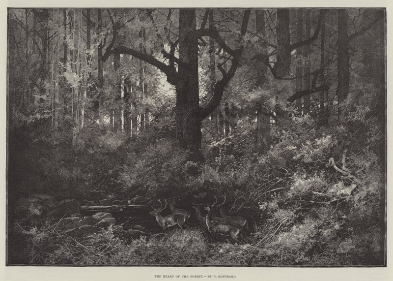 Skogens hjerte av Charles Auguste Loye