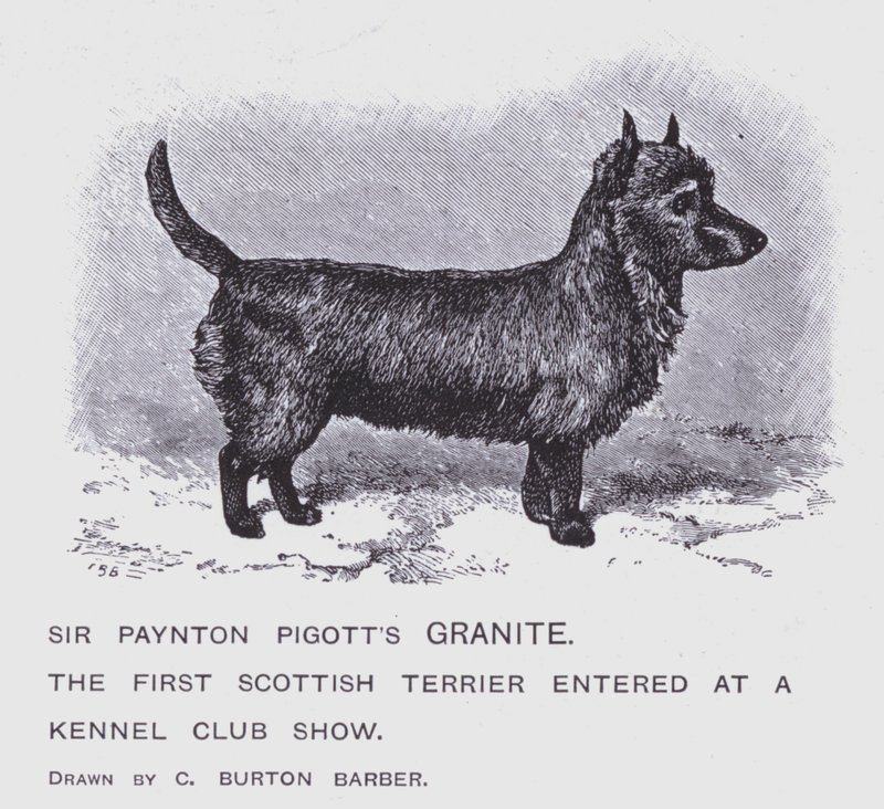 Sir Paynton Pigotts granitt (litho) av Charles Burton (after) Barber