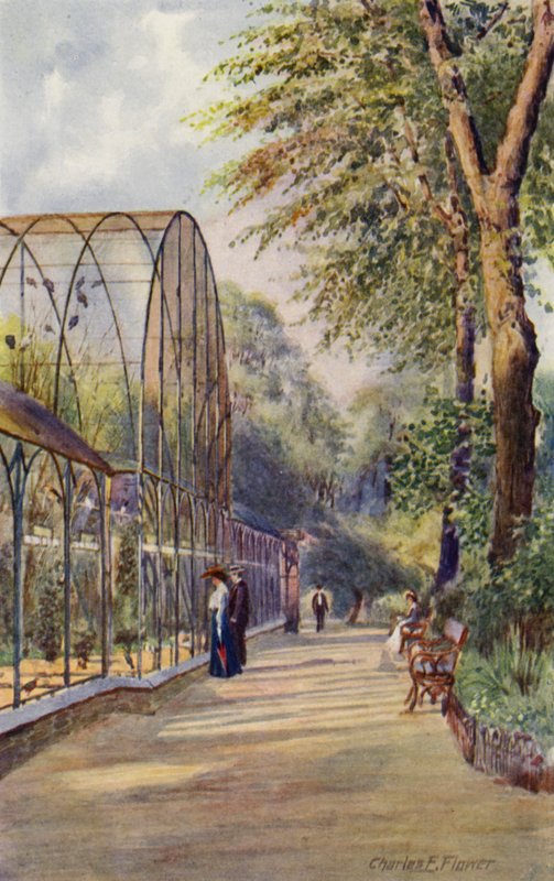 London Zoo: Western Aviary (farge litho) av Charles Edwin Flower