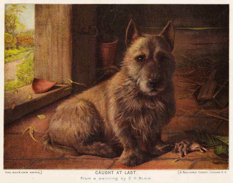 Fanget til slutt (farge litho) av Charles Henry Blair